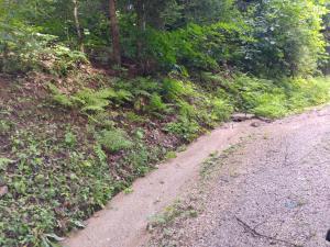 Cesta na Navrški vrh3